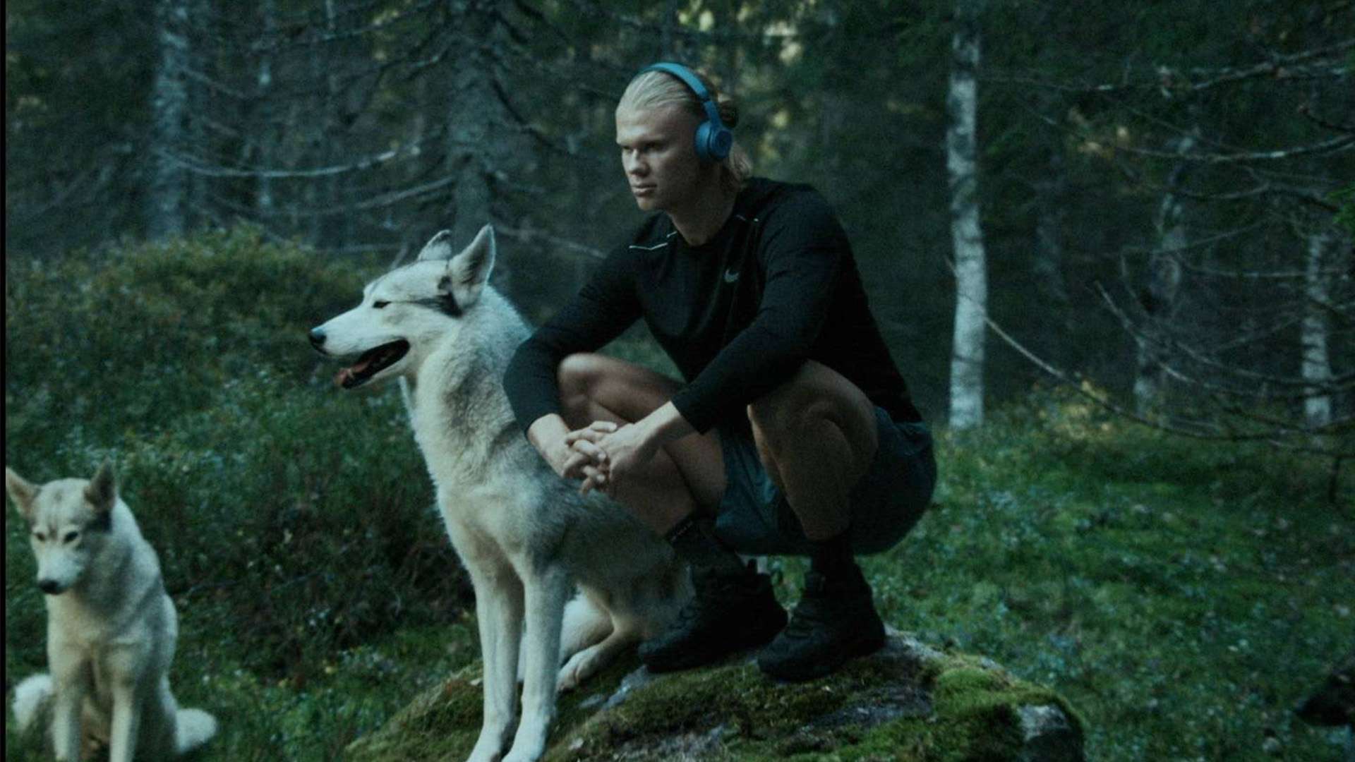 不懈追求 不懈追求